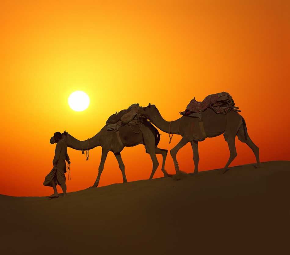 Dubai Desert Safari Offers